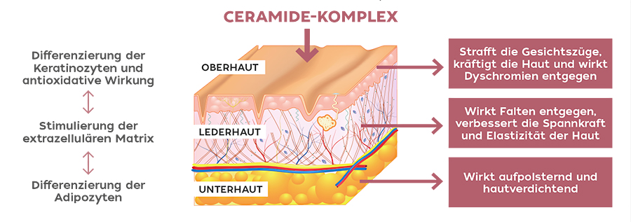 Ceramide - Komplex straffendes Serum